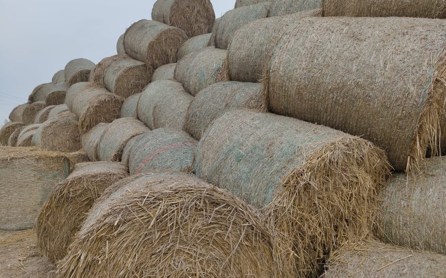 Baled agri-residue feedstock